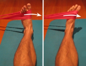 Keep your basketball season rolling- not your ankle - Capital Area PT ...