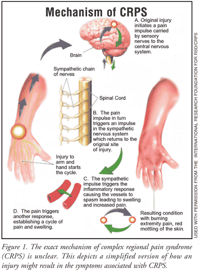 Clinical Research Certification I Blog - CCRPS