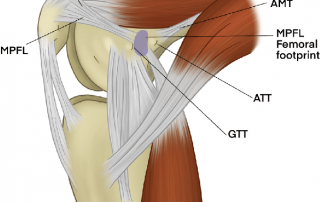 Medial view of flexed knee