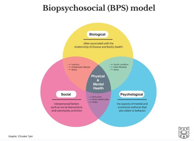 diagram of the biopsychosocial (BPS) pain model
