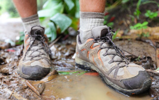 hiking sneakers